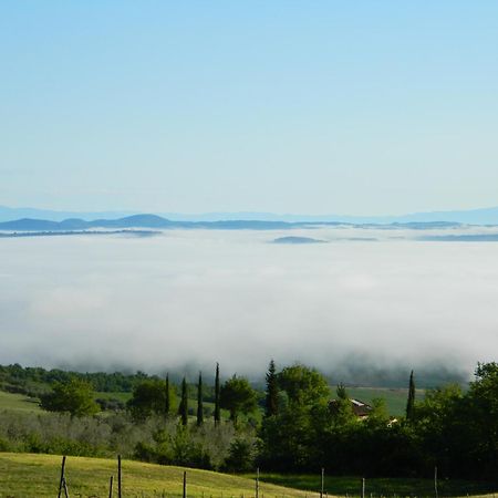 Вілла Le Rogheta Campiglia d'Orcia Екстер'єр фото