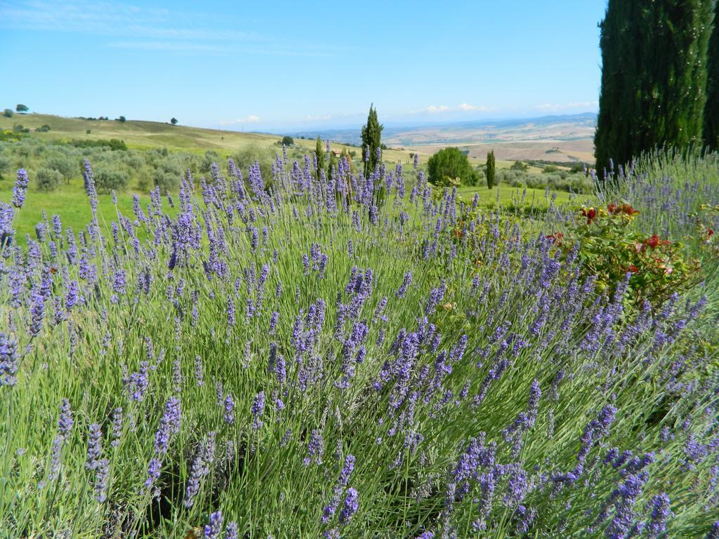 Вілла Le Rogheta Campiglia d'Orcia Екстер'єр фото