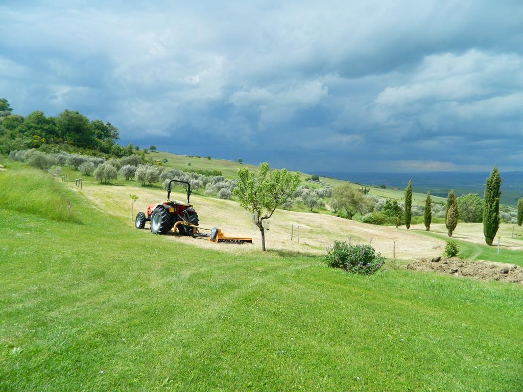 Вілла Le Rogheta Campiglia d'Orcia Екстер'єр фото