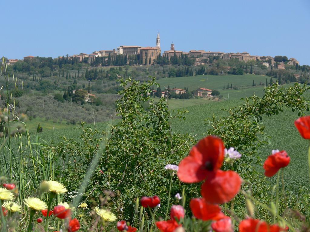 Вілла Le Rogheta Campiglia d'Orcia Екстер'єр фото