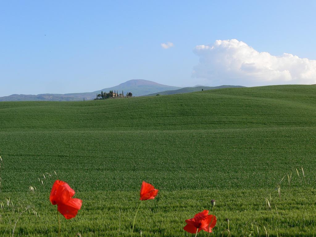 Вілла Le Rogheta Campiglia d'Orcia Екстер'єр фото