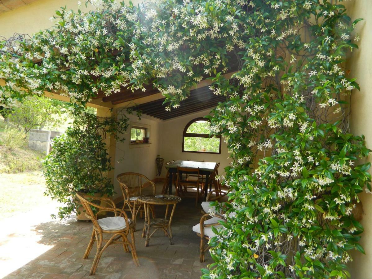 Вілла Le Rogheta Campiglia d'Orcia Екстер'єр фото